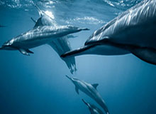 体育app下载官网——让运动与掌上世界无缝连接的官方入口